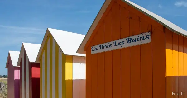 Les nouvelles habitudes alimentaires qui séduisent les familles